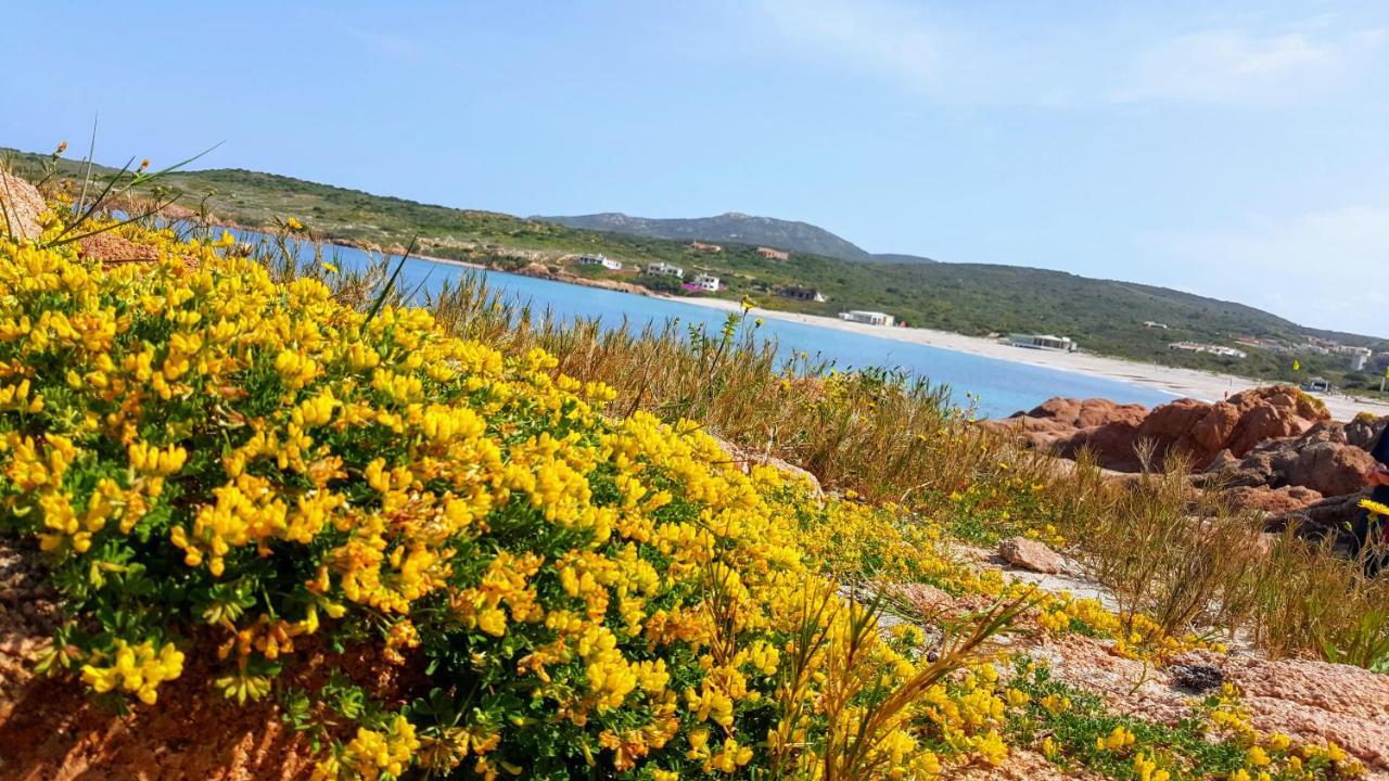 Casa Vacanza Costa Rossa Vista Mare Trinità dʼAgultu Екстериор снимка