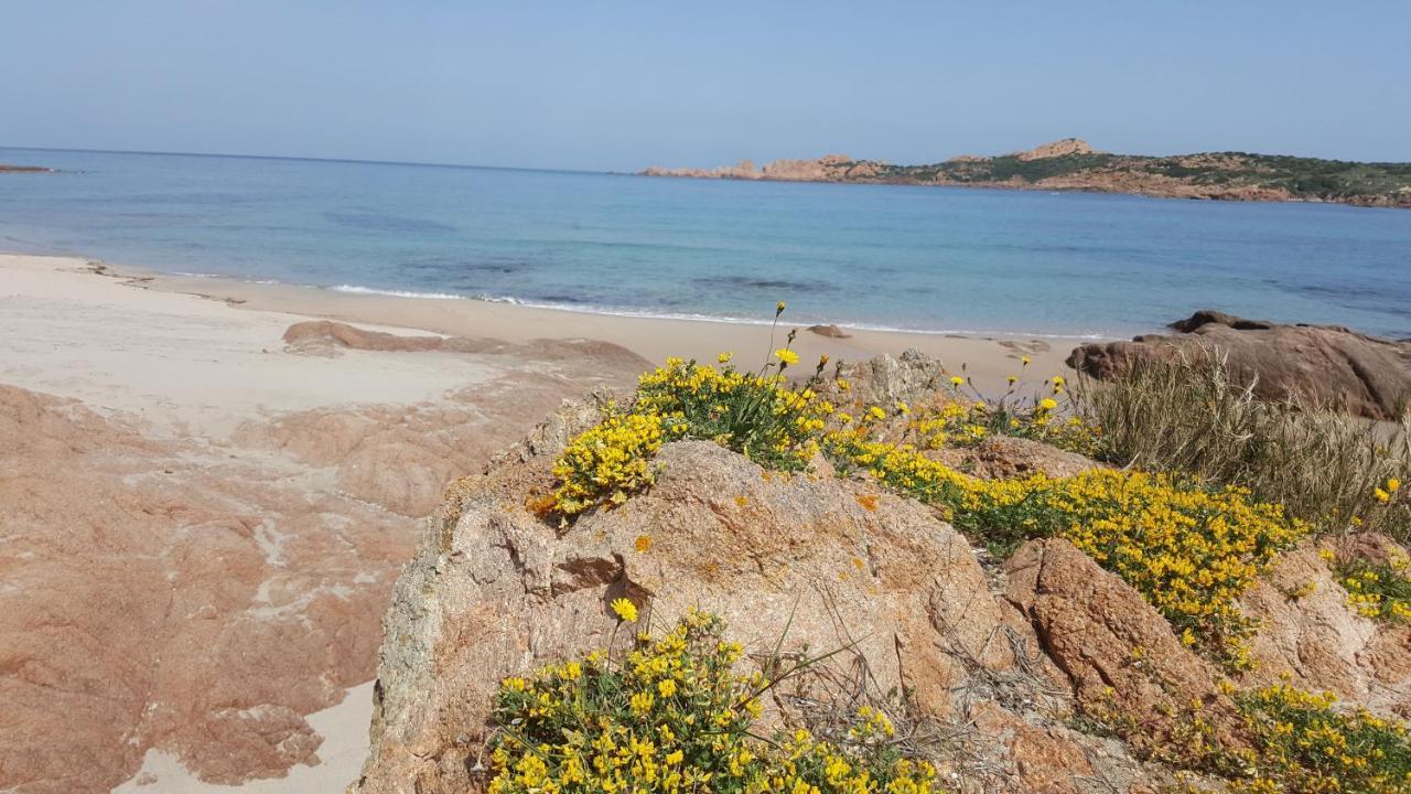 Casa Vacanza Costa Rossa Vista Mare Trinità dʼAgultu Екстериор снимка